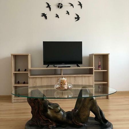 Apartament Kiseleff Ντρομπέτα-Τούρνου Σεβερίν Εξωτερικό φωτογραφία