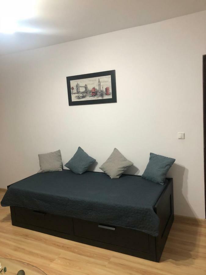 Apartament Kiseleff Ντρομπέτα-Τούρνου Σεβερίν Εξωτερικό φωτογραφία